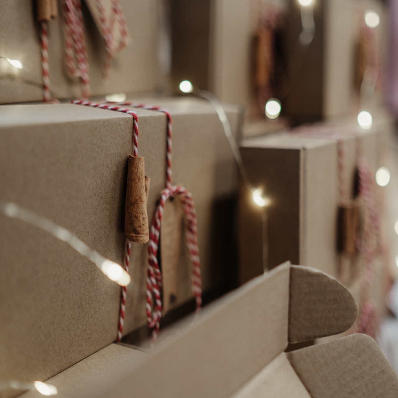 WV Soap Duo + Handmade Ceramic Soap Dish | Collaboration with Kings Hall Pottery